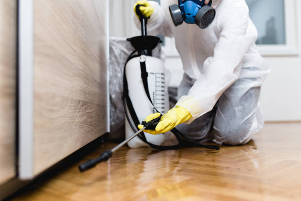 Best Pest Inspection Near Me  in Clintondale, NY