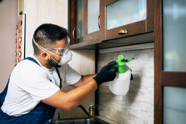 Best Pest Prevention Services  in Clintondale, NY
