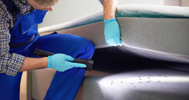 Best Emergency Pest Control  in Clintondale, NY