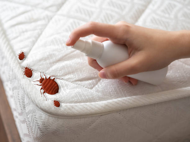 Best Commercial Pest Control Services  in Clintondale, NY
