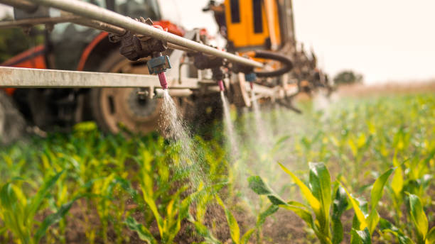 Best Ant Control Services  in Clintondale, NY